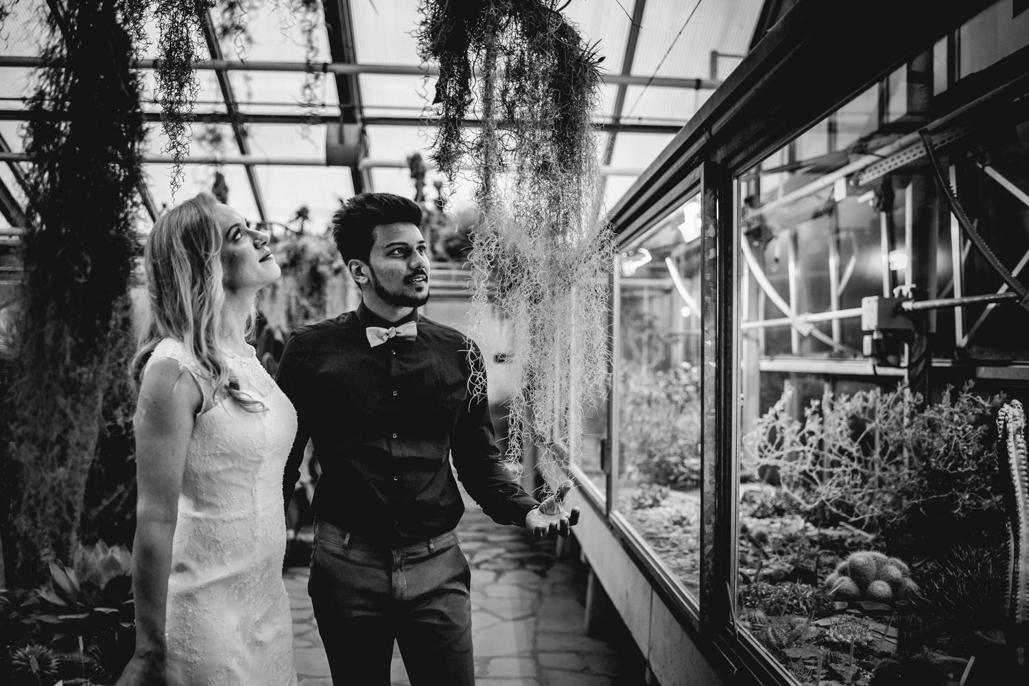 Ein Brautpaar sieht sich Hängepflanzen in einem Gewächshaus an.