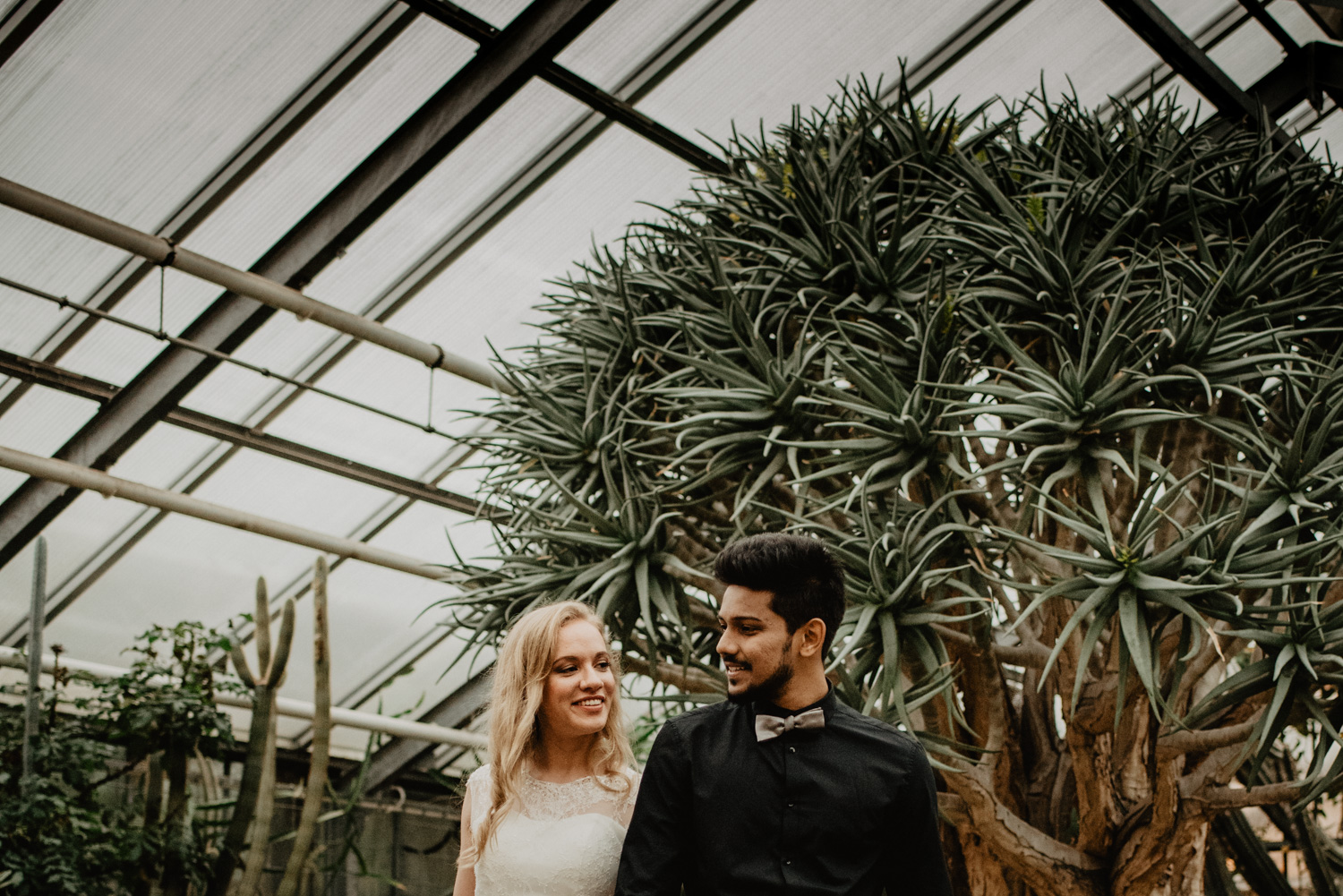 Ein multikultturelles Brautpaar, fotografiert ab dem Rumpf aufwärts und mit mediterranen Pflanzen im Hintergrund.