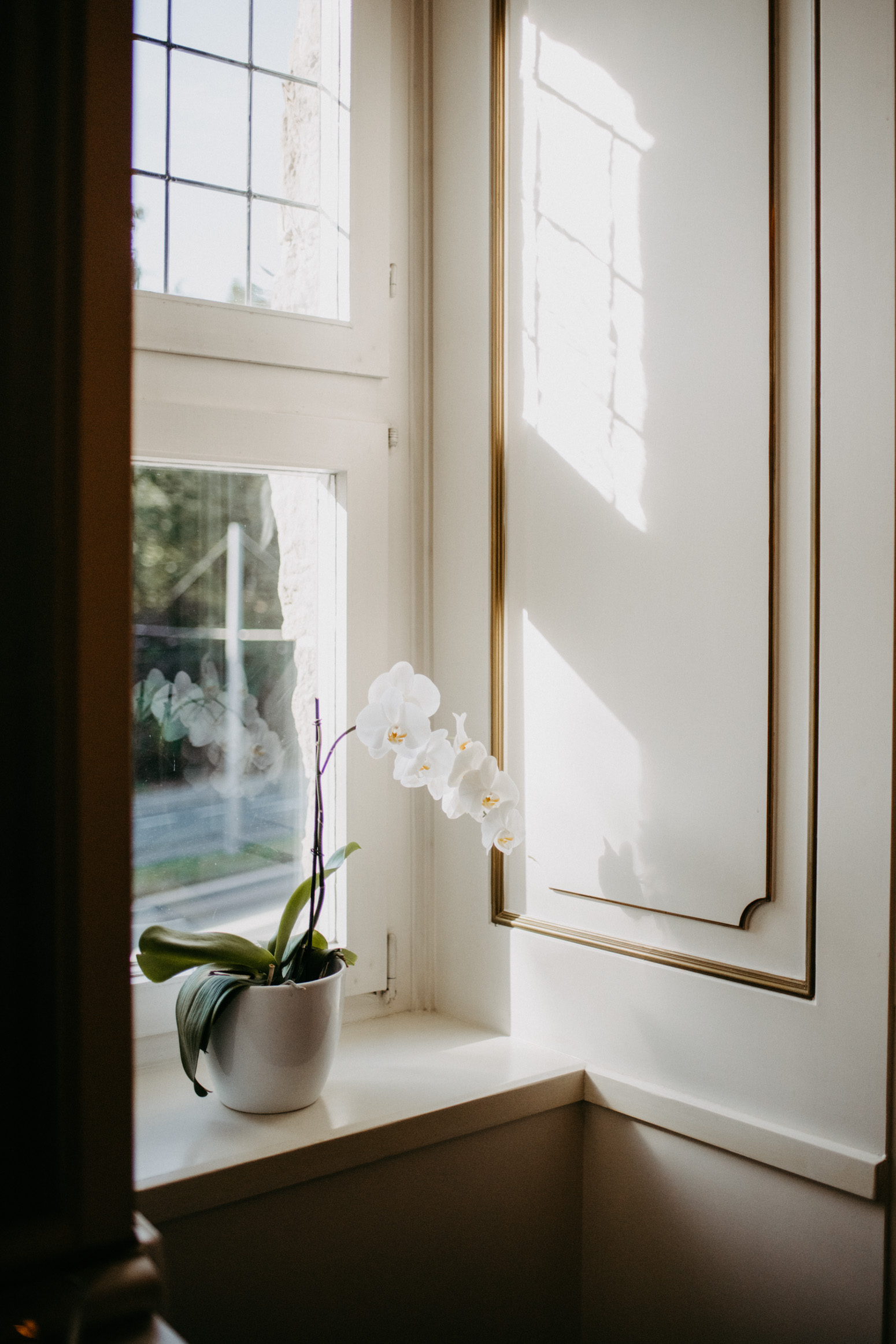 weiße Orchidee auf der Fensterbank im Standesamt im Schloss Broich