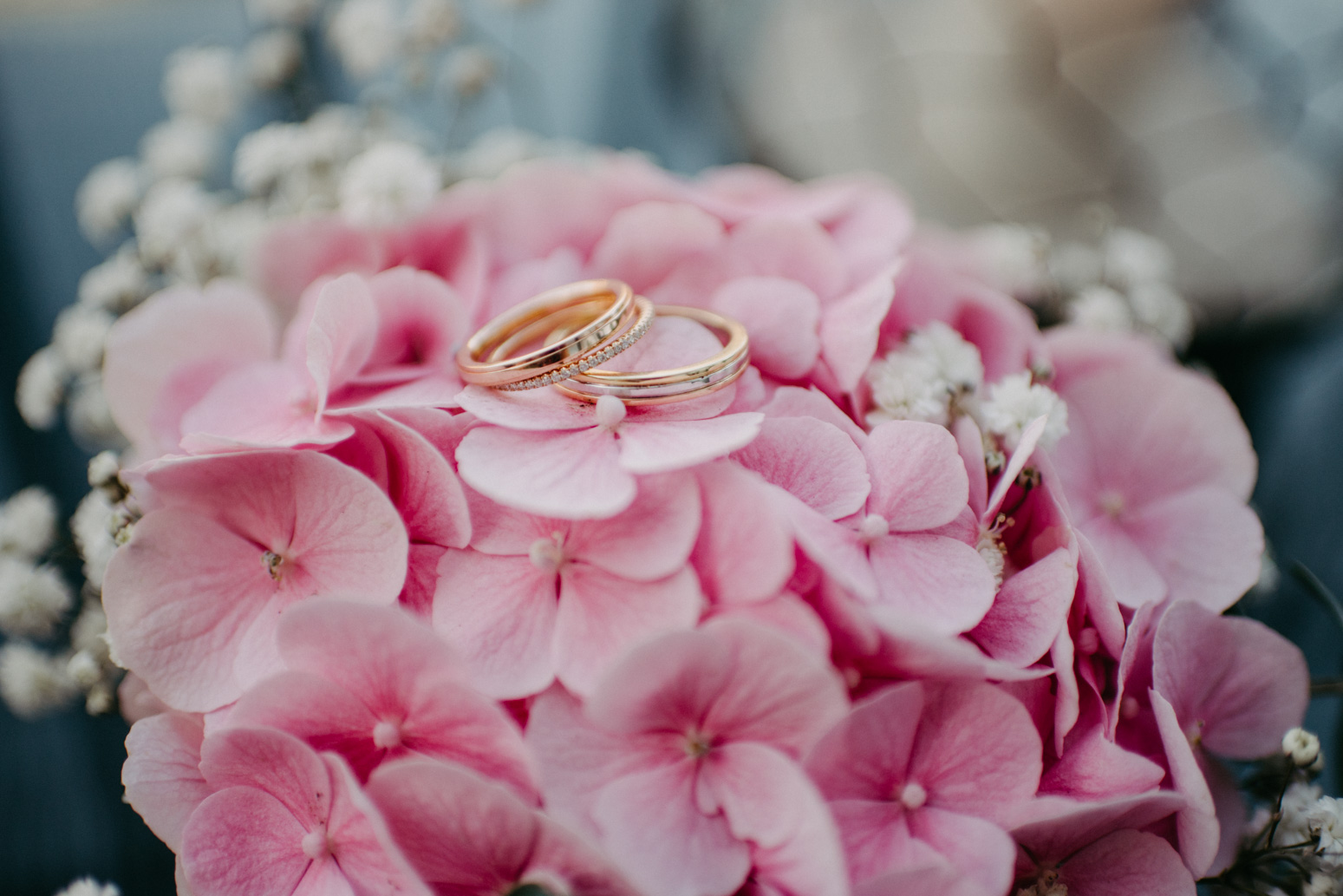 Tricolor Eheringe auf einer pinken Hortensie, Foto von der Hochzeitsfotografin Daria Becker, Genuine Bonds 